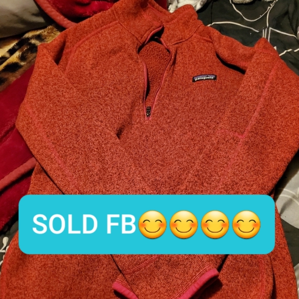 Large Patagiona pullover